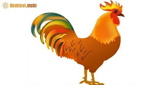 Xem tử vi trọn đời tuổi Đinh Dậu nữ mạng