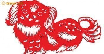 Xem phong thủy nhà bếp tuổi Tuất cho nhà vượng phát Xem phong thủy nhà bếp tuổi Tuất cho nhà vượng phát
