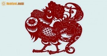 Xem phong thủy nhà bếp tuổi Dậu tài lộc an khang Xem phong thủy nhà bếp tuổi Dậu tài lộc an khang