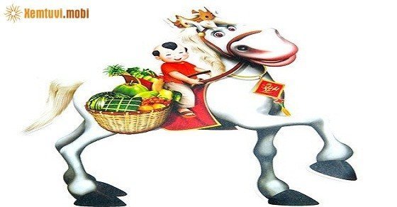 Xem phong thủy nhà bếp tuổi Ngọ an khang và tài lộc