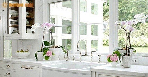 Xem phong thủy nhà bếp tuổi Dậu tài lộc an khang