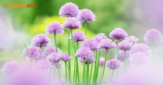 Tử vi hàng ngày 12 cung hoàng đạo của bạn thứ 3 ngày 28/6/2016