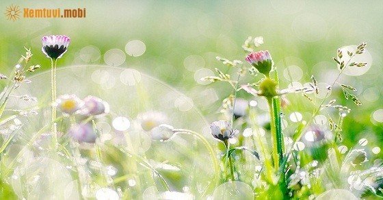 Tử vi hàng ngày 12 cung hoàng đạo của bạn thứ 5 ngày 23/6/2016
