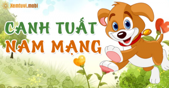 Tử vi trọn đời tuổi Canh Tuất nam mạng sinh năm 1970, 1910, 2030 Tử vi trọn đời tuổi Canh Tuất nam mạng sinh năm 1970, 1910, 2030