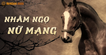 Tử vi trọn đời tuổi Nhâm Ngọ nữ mạng sinh năm 2002, 1942, 2062 Tử vi trọn đời tuổi Nhâm Ngọ nữ mạng sinh năm 2002, 1942, 2062