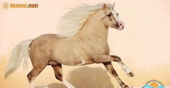 Xem tử vi trọn đời nam mạng tuổi Nhâm Ngọ