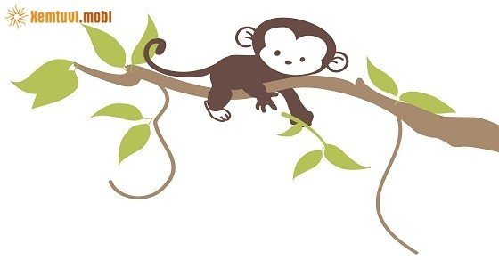 Xem tử vi trọn đời tuổi Nhâm Thân nam mạng