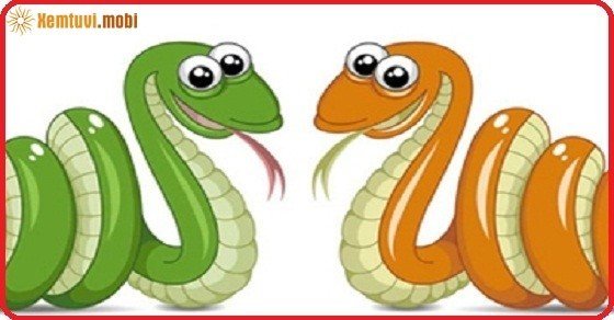 Xem tử vi trọn đời nam mạng tuổi Ất Tỵ