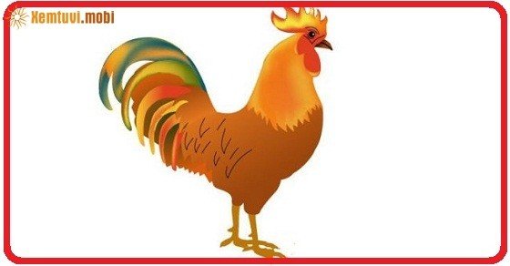 Xem tử vi trọn đời tuổi Kỷ Dậu nữ mạng