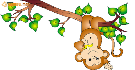 Xem tử vi trọn đời tuổi Mậu Thân nam mạng