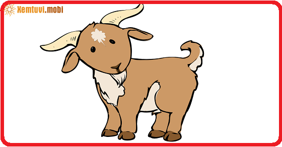 Xem tử vi trọn đời tuổi Tân Mùi nam mạng