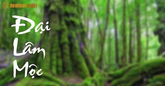 Những người mệnh Mộc sinh năm nào