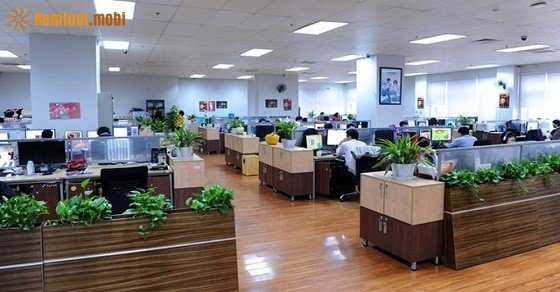 Đặt cây xanh trong phòng làm việc