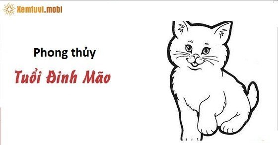 Phong thủy hướng bàn thờ tuổi Đinh Mão Phong thủy hướng bàn thờ tuổi Đinh Mão