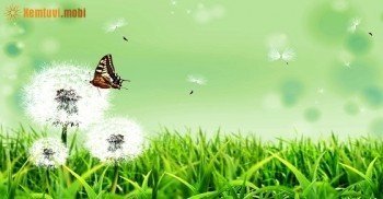 Tử vi hàng ngày 12 con giáp thứ 4 ngày 3/8/2016 Tử vi hàng ngày 12 con giáp thứ 4 ngày 3/8/2016