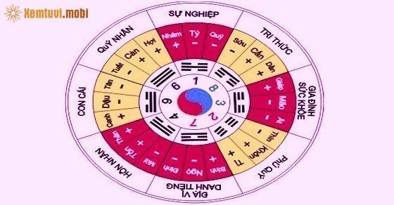 Xem số phong thủy hợp tuổi theo Bát quái