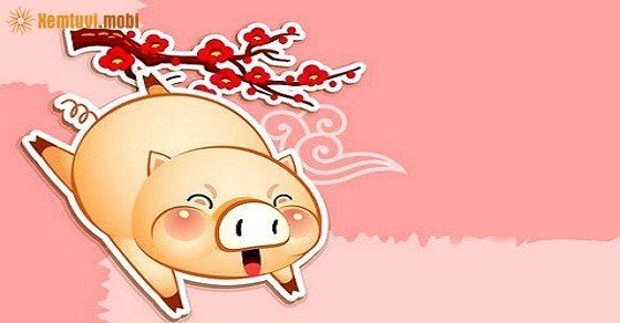 Xem tử vi trọn đời tuổi Quý Hợi nam mạng