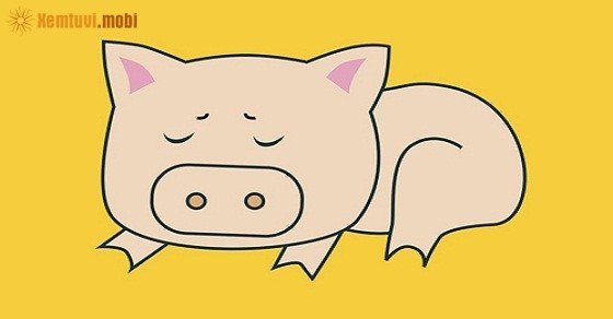 Xem tử vi trọn đời tuổi Quý Hợi nữ mạng