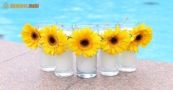 Tử vi hàng ngày 12 con giáp thứ 6 ngày 9/9/2016 Tử vi hàng ngày 12 con giáp thứ 6 ngày 9/9/2016