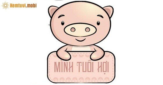 Phong thủy cho người tuổi Quý Hợi