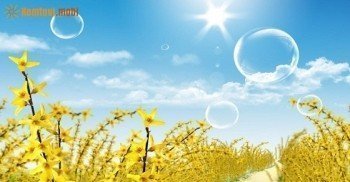Tử vi hàng ngày 12 cung hoàng đạo thứ 2 ngày 14/11/2016 của bạn Tử vi hàng ngày 12 cung hoàng đạo thứ 2 ngày 14/11/2016 của bạn