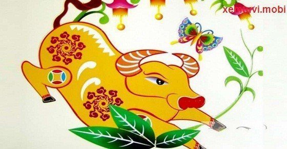 Xem tử vi tuổi Sửu năm Bính Thân 2016 Xem tử vi tuổi Sửu năm Bính Thân 2016