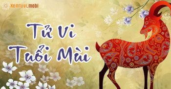 Tử vi tuổi Mùi năm 2016