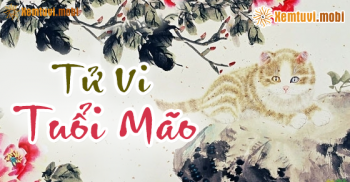 Tử vi tuổi Mão năm 2016