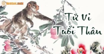 Tử vi tuổi Thân năm 2016