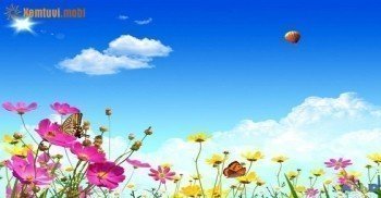 Tử vi 12 cung hoàng đạo thứ 4 ngày 01/06/2016 Tử vi 12 cung hoàng đạo thứ 4 ngày 01/06/2016
