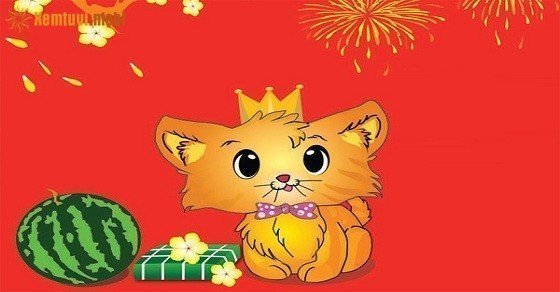 Xem tử vi trọn đời tuổi Đinh Mão nam mạng