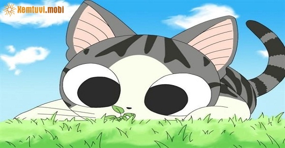 Xem tử vi trọn đời tuổi Kỷ Mão nam mạng