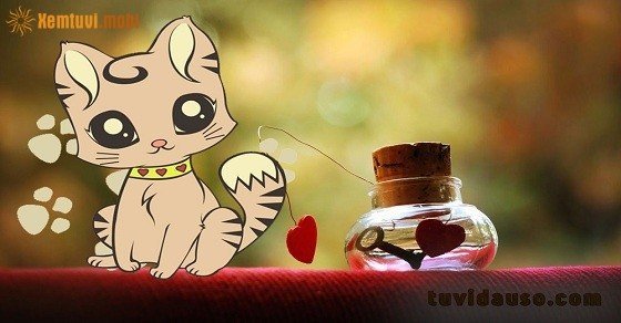 Xem tử vi trọn đời tuổi Quý Mão nữ mạng