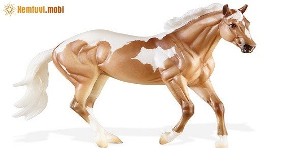 Xem tử vi trọn đời tuổi Giáp Ngọ nam mạng