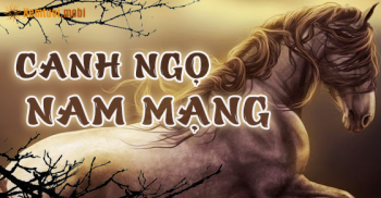 Tử vi trọn đời tuổi Canh Ngọ nam mạng sinh năm 1990, 1930, 2050 Tử vi trọn đời tuổi Canh Ngọ nam mạng sinh năm 1990, 1930, 2050