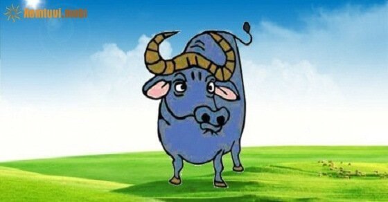 Phong thủy cho người tuổi Quý Sửu sinh năm 1973