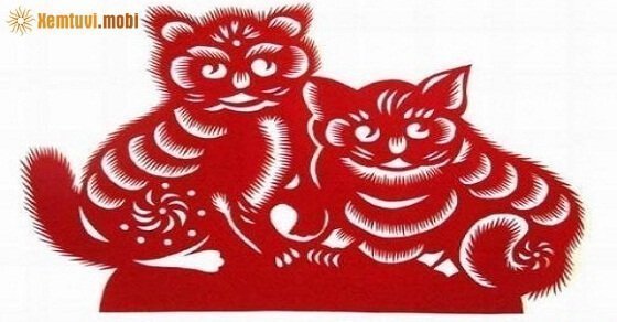 Phong thủy cho người tuổi Tân Mão