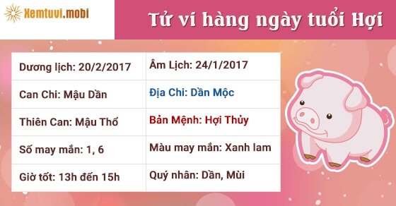Tử vi hàng ngày tuổi Hợi thứ 2 ngày 20/2/2017 Tử vi hàng ngày tuổi Hợi thứ 2 ngày 20/2/2017