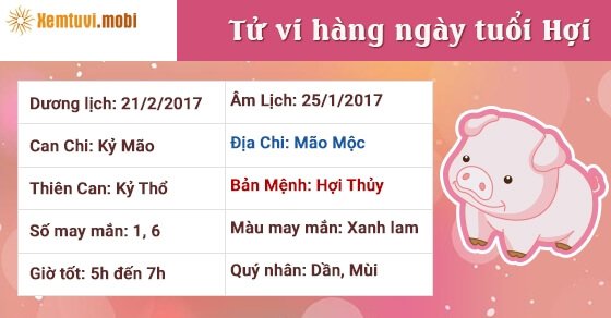 Tử vi hàng ngày tuổi Hợi thứ 3 ngày 21/2/2017 Tử vi hàng ngày tuổi Hợi thứ 3 ngày 21/2/2017
