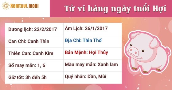 Tử vi hàng ngày tuổi Hợi thứ 4 ngày 22/2/2017 Tử vi hàng ngày tuổi Hợi thứ 4 ngày 22/2/2017