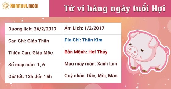 Tử vi hàng ngày tuổi Hợi chủ nhật ngày 26/2/2017 Tử vi hàng ngày tuổi Hợi chủ nhật ngày 26/2/2017