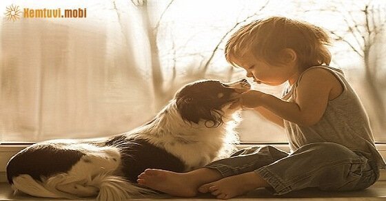 Tử vi ngày 20/3/2017 thứ 2 của 12 con giáp