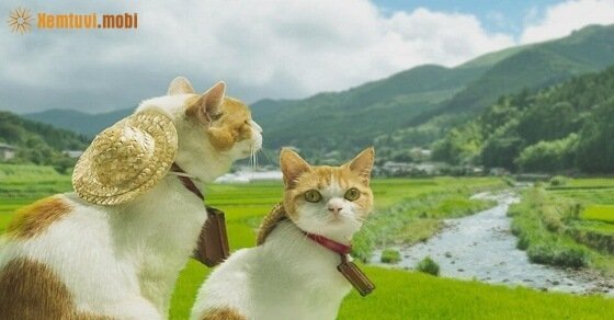 Tử vi ngày 21/3/2017 thứ 3 của 12 con giáp