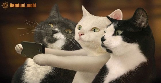 Tử vi ngày 29/4/2017 thứ 7 của 12 con giáp