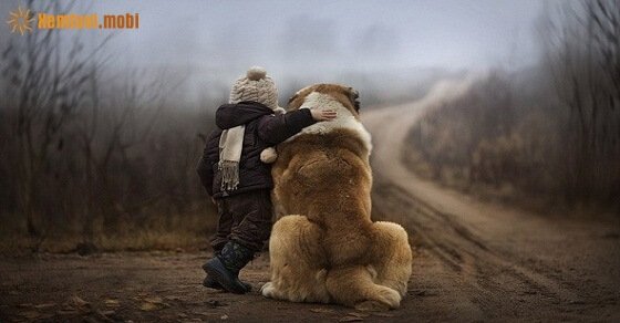 Tử vi ngày 12/4/2017 thứ 4 của 12 con giáp