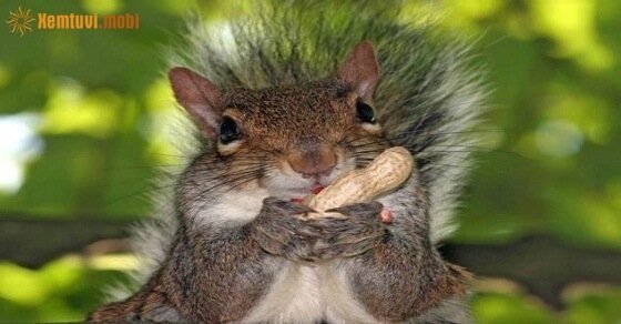 Tử vi ngày 13/4/2017 thứ 5 của 12 con giáp