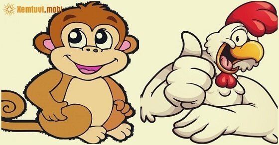 Cặp đôi Thân và Dậu (Khỉ và Gà)