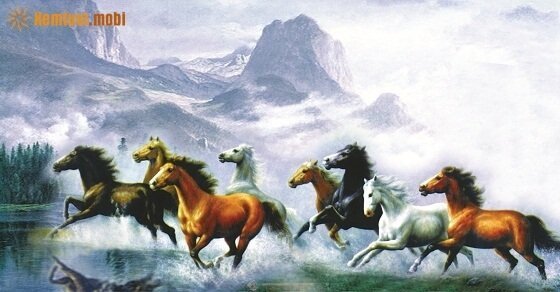 Tử vi ngày 13/5/2017 thứ 7 của 12 con giáp