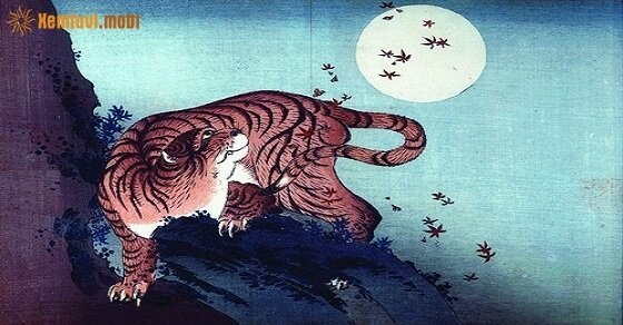 Tử vi ngày 17/5/2017 thứ 4 của 12 con giáp