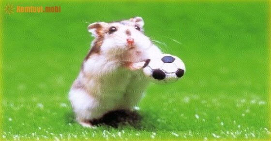 Tử vi ngày 2/5/2017 thứ 3 của 12 con giáp